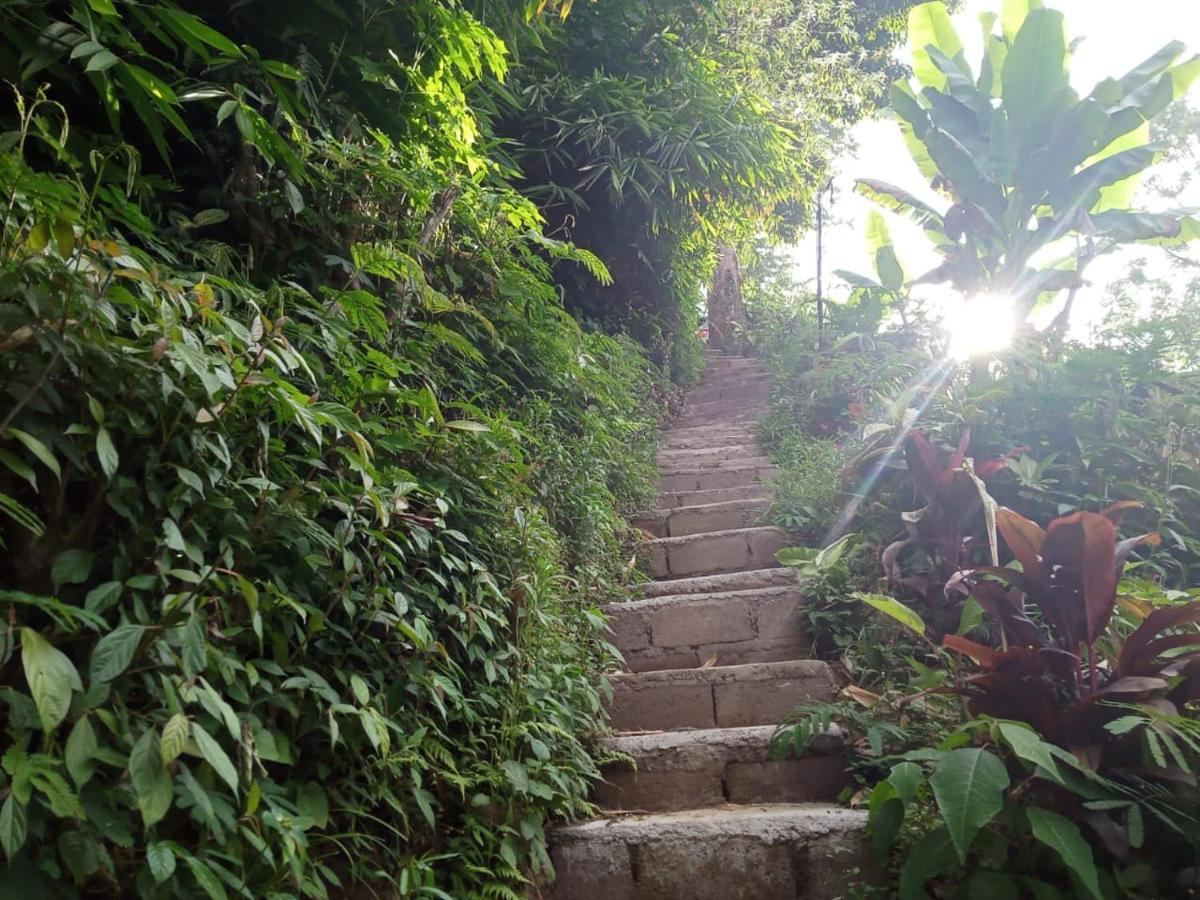 Jungleadventure