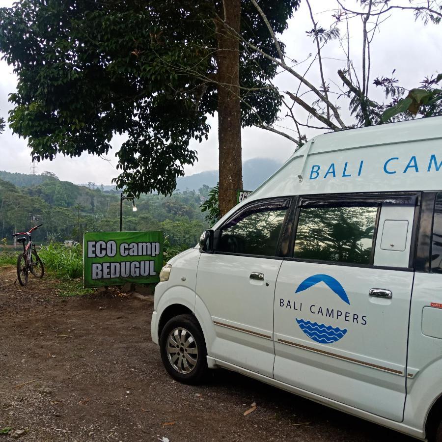 Campsite Jungleadventure